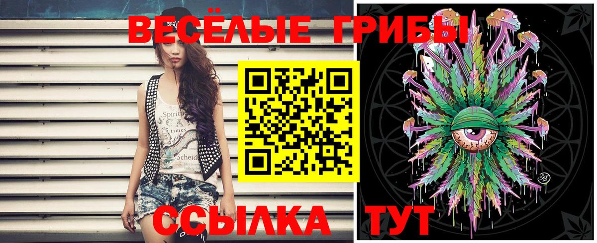 Галлюциногенные грибы Cubensis Воркута