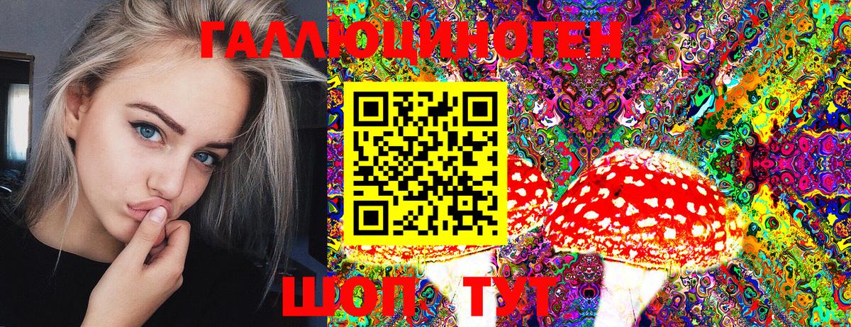 Воркута  Галлюциногенные грибы Psilocybe  Вход с VPN 